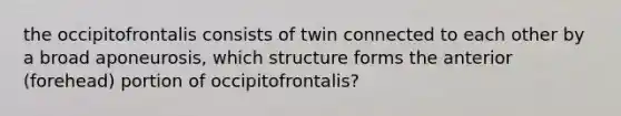 the occipitofrontalis consists of twin connected to each other by a broad aponeurosis, which structure forms the anterior (forehead) portion of occipitofrontalis?