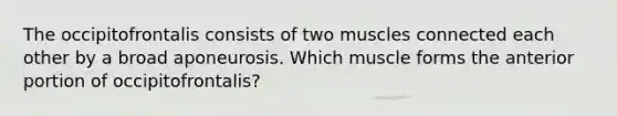 The occipitofrontalis consists of two muscles connected each other by a broad aponeurosis. Which muscle forms the anterior portion of occipitofrontalis?