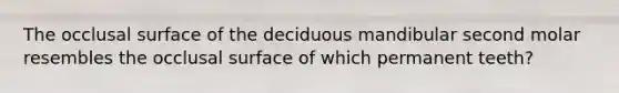 The occlusal surface of the deciduous mandibular second molar resembles the occlusal surface of which permanent teeth?