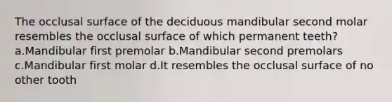 The occlusal surface of the deciduous mandibular second molar resembles the occlusal surface of which permanent teeth?a.Mandibular first premolar b.Mandibular second premolars c.Mandibular first molar d.It resembles the occlusal surface of no other tooth