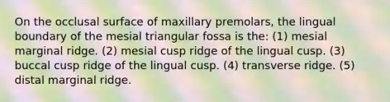 On the occlusal surface of maxillary premolars, the lingual boundary of the mesial triangular fossa is the: (1) mesial marginal ridge. (2) mesial cusp ridge of the lingual cusp. (3) buccal cusp ridge of the lingual cusp. (4) transverse ridge. (5) distal marginal ridge.