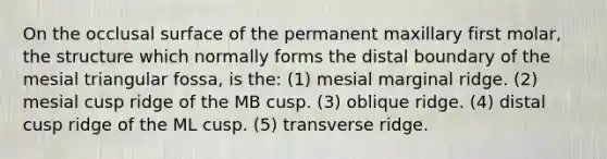 On the occlusal surface of the permanent maxillary first molar, the structure which normally forms the distal boundary of the mesial triangular fossa, is the: (1) mesial marginal ridge. (2) mesial cusp ridge of the MB cusp. (3) oblique ridge. (4) distal cusp ridge of the ML cusp. (5) transverse ridge.