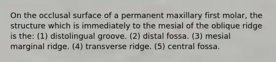 On the occlusal surface of a permanent maxillary first molar, the structure which is immediately to the mesial of the oblique ridge is the: (1) distolingual groove. (2) distal fossa. (3) mesial marginal ridge. (4) transverse ridge. (5) central fossa.