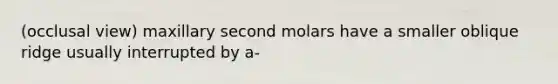 (occlusal view) maxillary second molars have a smaller oblique ridge usually interrupted by a-