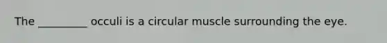 The _________ occuli is a circular muscle surrounding the eye.