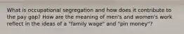 What is occupational segregation and how does it contribute to the pay gap? How are the meaning of men's and women's work reflect in the ideas of a "family wage" and "pin money"?