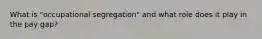 What is "occupational segregation" and what role does it play in the pay gap?