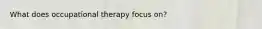 What does occupational therapy focus on?