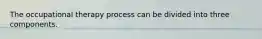 The occupational therapy process can be divided into three components.