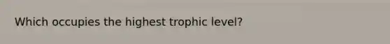 Which occupies the highest trophic level?