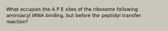 What occupies the A P E sites of the ribosome following aminoacyl tRNA binding, but before the peptidyl transfer reaction?