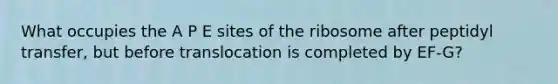 What occupies the A P E sites of the ribosome after peptidyl transfer, but before translocation is completed by EF-G?