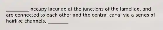 __________ occupy lacunae at the junctions of the lamellae, and are connected to each other and the central canal via a series of hairlike channels, _________