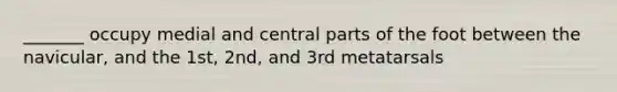 _______ occupy medial and central parts of the foot between the navicular, and the 1st, 2nd, and 3rd metatarsals