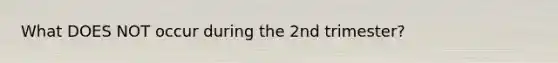 What DOES NOT occur during the 2nd trimester?