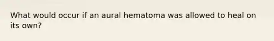 What would occur if an aural hematoma was allowed to heal on its own?