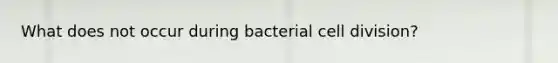 What does not occur during bacterial cell division?