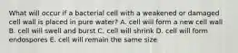 What will occur if a bacterial cell with a weakened or damaged cell wall is placed in pure water? A. cell will form a new cell wall B. cell will swell and burst C. cell will shrink D. cell will form endospores E. cell will remain the same size