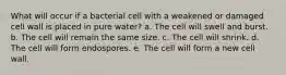 What will occur if a bacterial cell with a weakened or damaged cell wall is placed in pure water? a. The cell will swell and burst. b. The cell will remain the same size. c. The cell will shrink. d. The cell will form endospores. e. The cell will form a new cell wall.