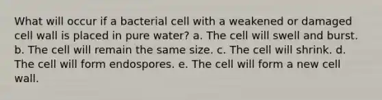 What will occur if a bacterial cell with a weakened or damaged cell wall is placed in pure water? a. The cell will swell and burst. b. The cell will remain the same size. c. The cell will shrink. d. The cell will form endospores. e. The cell will form a new cell wall.