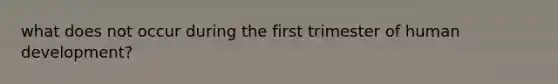 what does not occur during the first trimester of human development?