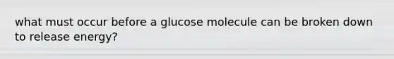 what must occur before a glucose molecule can be broken down to release energy?