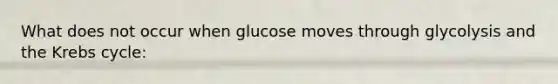 What does not occur when glucose moves through glycolysis and the Krebs cycle: