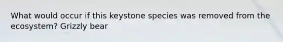 What would occur if this keystone species was removed from the ecosystem? Grizzly bear