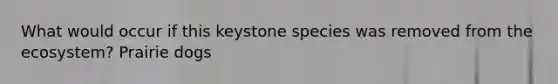 What would occur if this keystone species was removed from <a href='https://www.questionai.com/knowledge/k49x5J3j3W-the-ecosystem' class='anchor-knowledge'>the ecosystem</a>? Prairie dogs