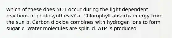 which of these does NOT occur during the light dependent reactions of photosynthesis? a. Chlorophyll absorbs energy from the sun b. Carbon dioxide combines with hydrogen ions to form sugar c. Water molecules are split. d. ATP is produced