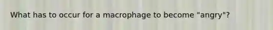 What has to occur for a macrophage to become "angry"?