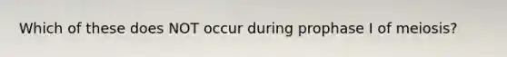 Which of these does NOT occur during prophase I of meiosis?