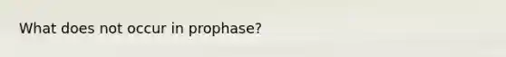 What does not occur in prophase?