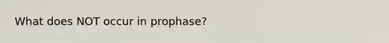 What does NOT occur in prophase?