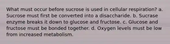 What must occur before sucrose is used in cellular respiration? a. Sucrose must first be converted into a disaccharide. b. Sucrase enzyme breaks it down to glucose and fructose. c. Glucose and fructose must be bonded together. d. Oxygen levels must be low from increased metabolism.