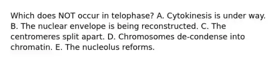 Which does NOT occur in telophase? A. Cytokinesis is under way. B. The nuclear envelope is being reconstructed. C. The centromeres split apart. D. Chromosomes de-condense into chromatin. E. The nucleolus reforms.