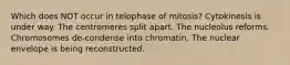 Which does NOT occur in telophase of mitosis? Cytokinesis is under way. The centromeres split apart. The nucleolus reforms. Chromosomes de-condense into chromatin. The nuclear envelope is being reconstructed.