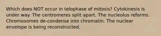 Which does NOT occur in telophase of mitosis? Cytokinesis is under way. The centromeres split apart. The nucleolus reforms. Chromosomes de-condense into chromatin. The nuclear envelope is being reconstructed.