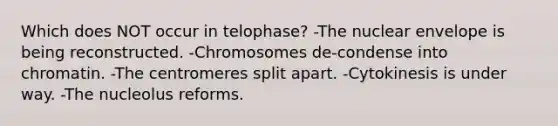 Which does NOT occur in telophase? -The nuclear envelope is being reconstructed. -Chromosomes de-condense into chromatin. -The centromeres split apart. -Cytokinesis is under way. -The nucleolus reforms.