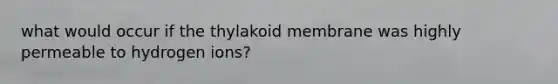 what would occur if the thylakoid membrane was highly permeable to hydrogen ions?