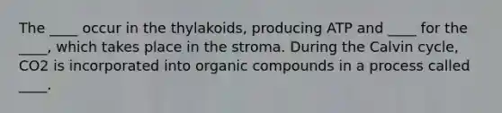 The ____ occur in the thylakoids, producing ATP and ____ for the ____, which takes place in the stroma. During the Calvin cycle, CO2 is incorporated into organic compounds in a process called ____.