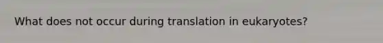 What does not occur during translation in eukaryotes?