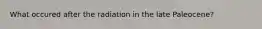 What occured after the radiation in the late Paleocene?