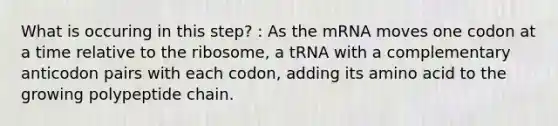 What is occuring in this step? : As the mRNA moves one codon at a time relative to the ribosome, a tRNA with a complementary anticodon pairs with each codon, adding its amino acid to the growing polypeptide chain.