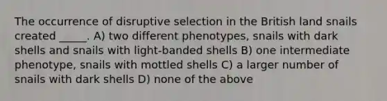 The occurrence of disruptive selection in the British land snails created _____. A) two different phenotypes, snails with dark shells and snails with light-banded shells B) one intermediate phenotype, snails with mottled shells C) a larger number of snails with dark shells D) none of the above