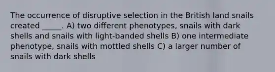 The occurrence of disruptive selection in the British land snails created _____. A) two different phenotypes, snails with dark shells and snails with light-banded shells B) one intermediate phenotype, snails with mottled shells C) a larger number of snails with dark shells