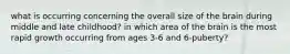 what is occurring concerning the overall size of the brain during middle and late childhood? in which area of the brain is the most rapid growth occurring from ages 3-6 and 6-puberty?