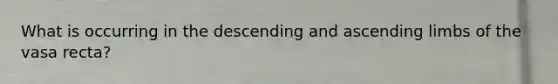 What is occurring in the descending and ascending limbs of the vasa recta?