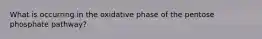 What is occurring in the oxidative phase of the pentose phosphate pathway?