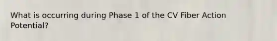 What is occurring during Phase 1 of the CV Fiber Action Potential?